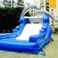 Popular Children Adult Kids Giant Inflatable Water Slide for Sale